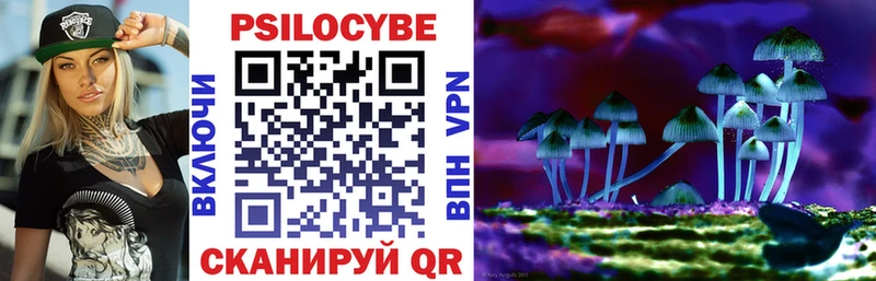 Купить закладки  Куртамыш  Псилоцибиновые грибы MAGIC MUSHROOMS 