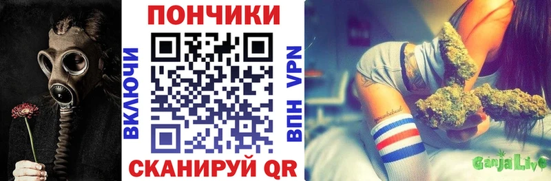 Купить  Куртамыш  Каннабис план 